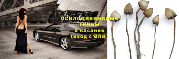 2c-b Абдулино