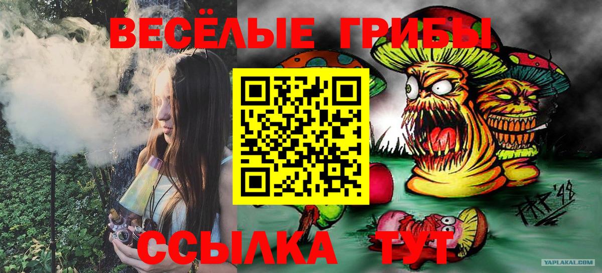 Псилоцибиновые грибы Psilocybe  Вход с VPN  Псилоцибиновые грибы Psilocybine cubensis  Майский 